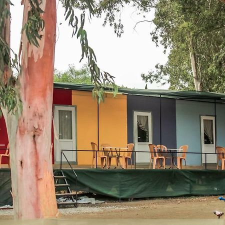 Patara Woody Hostel & Camping Екстериор снимка