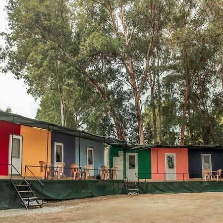 Patara Woody Hostel & Camping Екстериор снимка