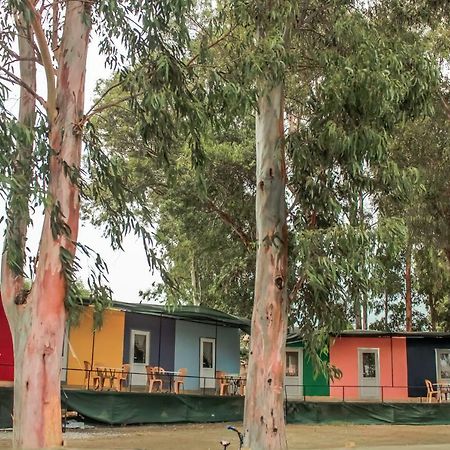 Patara Woody Hostel & Camping Екстериор снимка