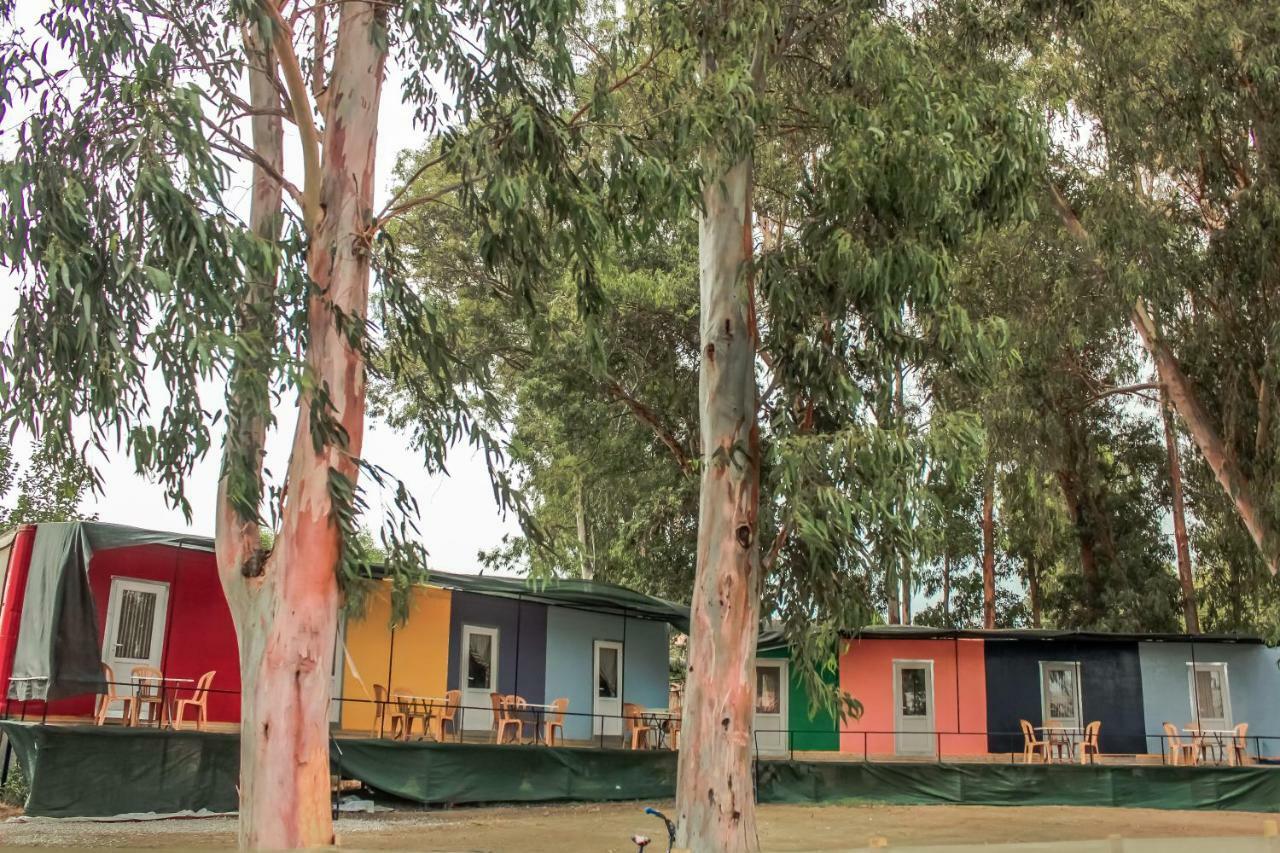 Patara Woody Hostel & Camping Екстериор снимка